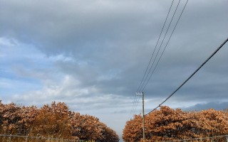 海 良かったよ〜