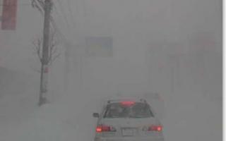 2011030409400000.jpg