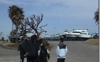 2011030611490000.jpg