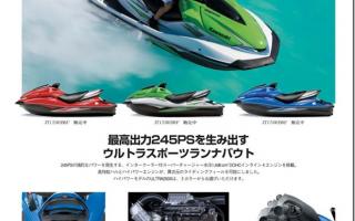 model_info-1