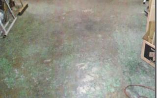 2012062218210000.jpg